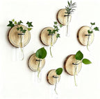 Wall Mounted Test Tube Vase with Natural Wood Slice Base, Hanging Propagation Station for Plants, Rustic Boho Home Decor (6pc Multicolor) - Image 6
