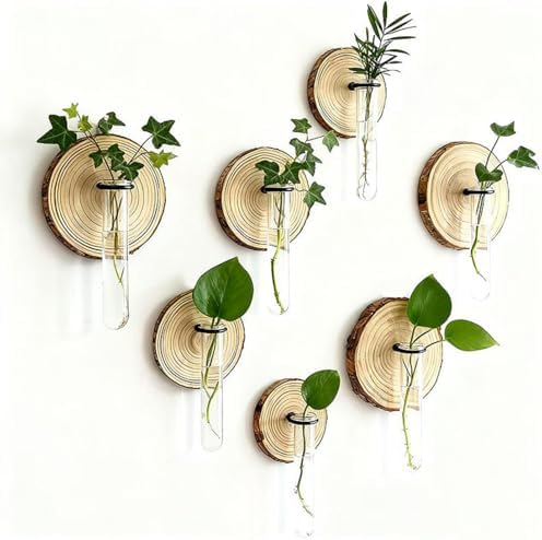 Wall Mounted Test Tube Vase with Natural Wood Slice Base, Hanging Propagation Station for Plants, Rustic Boho Home Decor (6pc Multicolor) - Image 6