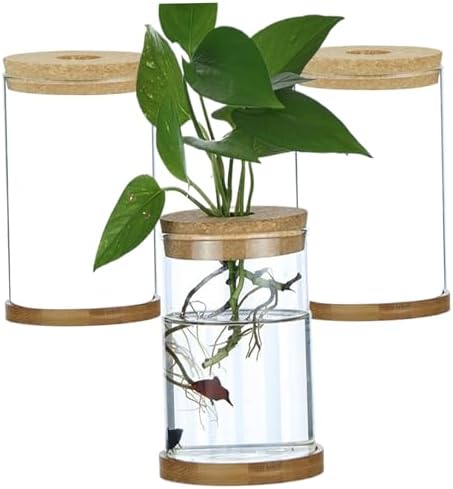 3Pcs Plant Propagation Station, Transparent Lidded Propagation Stations with Tray Hydroponic DIY Jars for Home Office Desktop, Straight by Unknown