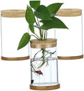 3Pcs Plant Propagation Station, Transparent Lidded Propagation Stations with Tray Hydroponic DIY Jars for Home Office Desktop, Straight by Unknown