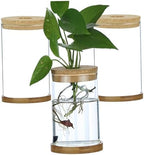 3Pcs Plant Propagation Station, Transparent Lidded Propagation Stations with Tray Hydroponic DIY Jars for Home Office Desktop, Straight by Unknown