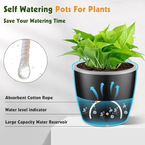 Self-Watering Pots for Indoor Plants, 16-Pack Self Watering Planter with Drainage Holes, Small African Violet Pots with Water Indicator, 10-Pack 5''/6-Pack 6.7'' Orchid Pot, Black - Image 4