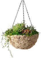SuperMoss (29241D MossWeave Hanging Basket | Outdoor Hanging Planter with Moss | Decorative Plant Hanger for Porch, Balcony, Garden & Home Décor, Round, Medium 14.5” D, Blond - Image 2