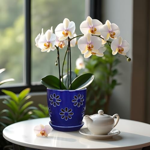 Oairse 6 inch Orchid Pots with Holes, Royal Blue Ceramic Orchid Pot for Repotting Small Indoor Plant Pots with Drainage Holes and Saucers Decorative Flower Planter for Orchids, Indoor Plant - Image 5