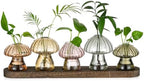 Hewory Plant Propagation Stations: 5PCS Amber Mushroom Vase with Wood Tray by Hewory