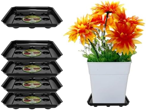 Curtis Wagner Plastics Designer Series Plant Saucer (5-Pack) - Black, Square (Diameter: 9.25" Base, 12" Top, 1.62" Depth) Thick Plastic Plant Drip Trays - Used as Indoor Pot/Outdoor Plant Saucers by CurtisWagnerPlasticsCorp