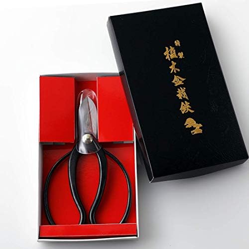 Hanafubuki Wazakura Ikebana Scissors MADE IN JAPAN 6.7 inch (170 mm), Japanese Flower Arranging Tools, Kado Hasami Shears - Koryu Black - Image 6