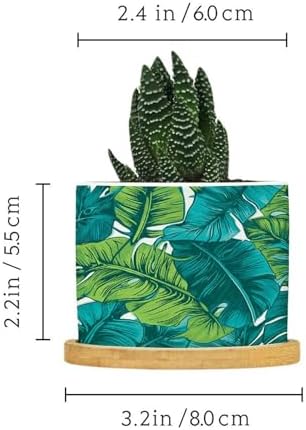 Turquoise Green Planter Ceramic Teal Blue Tropical Round Plant Pot with Drainage Holes and Bamboo Tray Pot for Home Office Desk Garden - Image 2