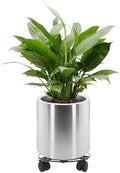 Longrun 9.8 Inch Dia Round Planter, Modern Indoor Outdoor Large Stainless Steel Plant Pot and Plant Caddy with Wheels for Home Patio Garden, Easy to Clean and Move by Longrun