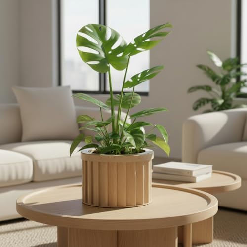 MD Round Strata Planter in Beige Brown - Ceramic Planter with Modern Aesthetic for Succulents and Small Plants - Image 3