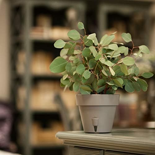 DECOPOTS - Pack of 3 - Self Watering Planter - Height 9.2 inches - Flower Pot with Bottom Watering Level Indicator for All House Plants, Flowers, Herbs (Diameter 9.2", Cream) - Image 6