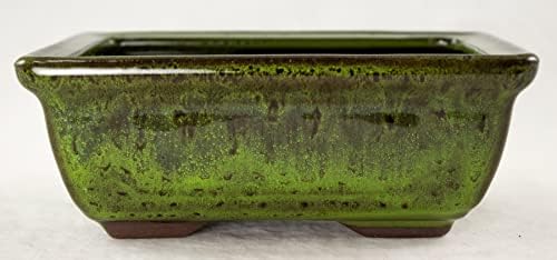 6'' Rectangular Moss Green Shohin Bonsai Pot + Soil + Tray + Rock + Mesh Kit, Blue,green - Image 7