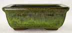 6'' Rectangular Moss Green Shohin Bonsai Pot + Soil + Tray + Rock + Mesh Kit, Blue,green - Image 7