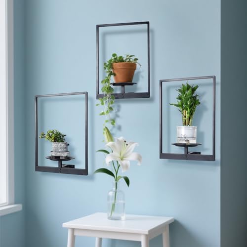 Plant Wall Shelf, Metal Modern Style Frame, Picture Wall Plant Holder, Plant Frames for Living Space Decor Display Stand for Living Room Balcony Garden Patio (3 PACK(BLACK )) - Image 2