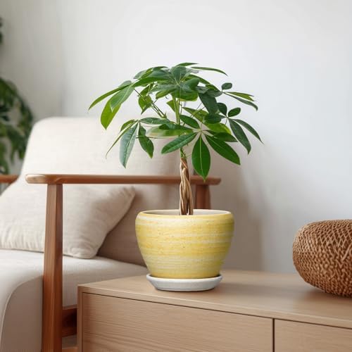 Ceramic Planter, 6 Inch Plant Pots, Textured Yellow - Image 7