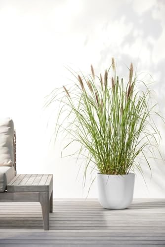 Ecopots Oslo Round Flower Planter, White Grey, 17.75" - Image 2
