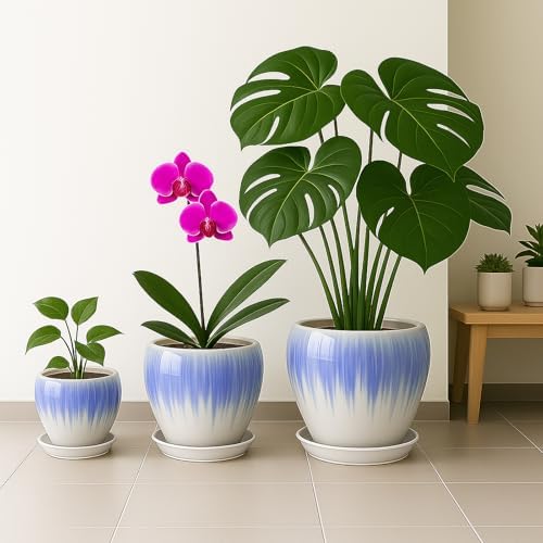 Deep Dream 8 Inch Plant Pots- Ceramic Pots for Plants with Drainage Hole and Saucer, Large Planter Pot for Indoor Plants Outdoor Decor, White&Blue - Image 5