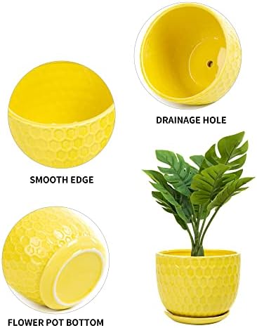 Yellow Ceramic Flower Pots with Saucers, Modern Round Ceramic Succulent Plant Pots with Honeycomb Inspired Texture Design, Small to Medium Sized, Set of 3 - Image 6