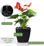 Dexceder 13x12 Self Watering Planter with Wheels (Black Matte) - Image 5