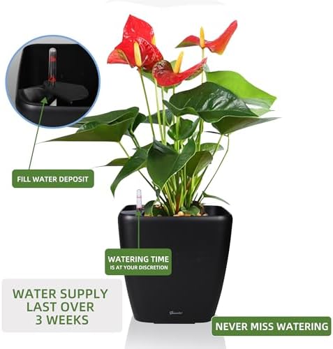 Dexceder 15x14 Self Watering Planter with Wheels (Black Matte) - Image 5