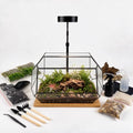 Luckyrunes Complete Glass Terrarium Kit with Live Moss, Rectangle by LUCKYRUNES