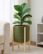 D'vine Dev Ceramic Pot with Natural Wood Stand, Olive, 10 in, 55-B-K-J - Image 6