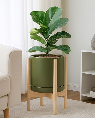 D'vine Dev Ceramic Pot with Natural Wood Stand, Olive, 10 in, 55-B-K-J - Image 6