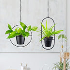Modern Metal Hanging Planters Set of 2 - Round and Oval Geometric Plant Hangers with 5 Inch Pots - Black Wall and Ceiling Mount Flower Holders for Indoor and Covered Outdoor Décor - Image 2