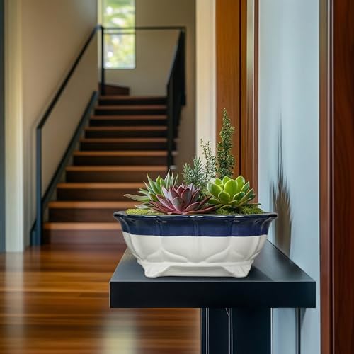 11 Inch Succulent Planters - Ceramic Bonsai Pots with Drainage Hole, Bonsai Planter for Indoor Outdoor Plants, Large Shallow Planter, Patio Garden Decor, Gifts for Plant Lover, Oval Beige-Blue - Image 5