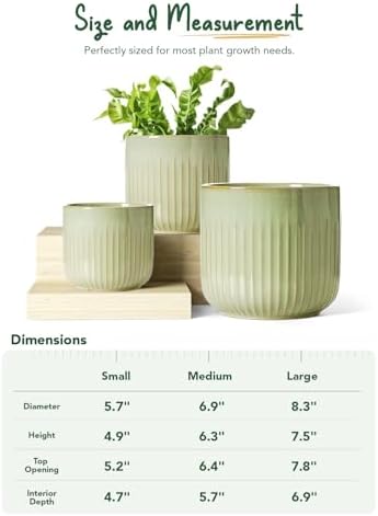 LE TAUCI Ceramic Pots for Plants, 8.3/7/6 Inch Indoor Planters with Drainage Holes & Mesh, Modern Glossy Glaze Cylinder Fluted Plant Pot for Snake Plant, Set of 3, Sage Green - Image 6