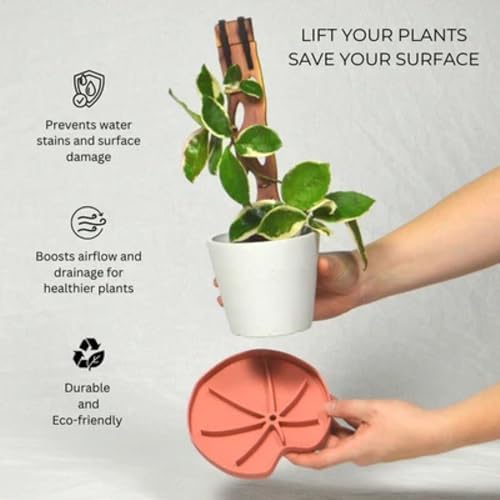 Treleaf Lili Sausr™ – 6" Lily Pad Shaped Plant Saucer & Drip Tray (Set of 4) – Decorative Humidity Tray & Spill Catcher for Indoor Houseplants – 3D Printed Eco-Friendly Design - Green - Image 4