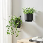2 Pcs Wall Mounted Hanging Planter Vase for Indoor and Outdoor Plants Modern Metal Wall and Ceiling Planter Minimalist Flower Pot (Black, 5.91 inch) by CISEANOL