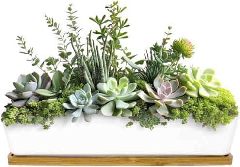 BambooMN Ceramic Succulent Pots - 1 Pot - Long Rectangle - White - 11" by BambooMN
