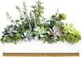 BambooMN Ceramic Succulent Pots - 1 Pot - Long Rectangle - White - 11" by BambooMN