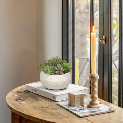 DILATATA Artificial Succulent Plants in Pot 5.5 Inch Fake Succulents Arrangement Potted Plant in White Ceramic Planter Bowl for Home Office Desk Shelf Living Room Bedroom Bathroom Decor - Image 4