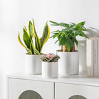 vancasso Ceramic Plant Pots, 4.25+5.25+6.25 Inch Planter Pot with Drainage Hole, Flower Pots for Indoor Outdoor Plants, Set of 3, White - Image 5