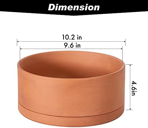 D'vine Dev Terracotta Shallow Planter Pot with Saucer, 10 in, 40-Y-B-0 - Image 3