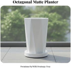 Minimalist Octagonal Planter with Tray | Modern Matte Finish, Faceted Floor Pot with Tray, Decorative, Plant Holder, for Indoor Garden, White, M - Image 3