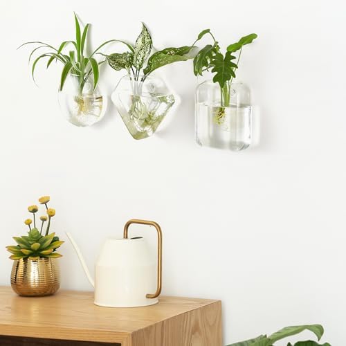Mkono Wall Hanging Planter Propagation Station Glass Tubes Flower Vase for Hydroponics Plants, Bathroom, Home Office Living Room Decor Gift - Image 4
