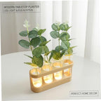 Plant Propagation Station Decorative Propagation Station with Adjustable LED Light Wood Stand & 4 Glass Test Tubes for Hydroponic Plants - Image 6