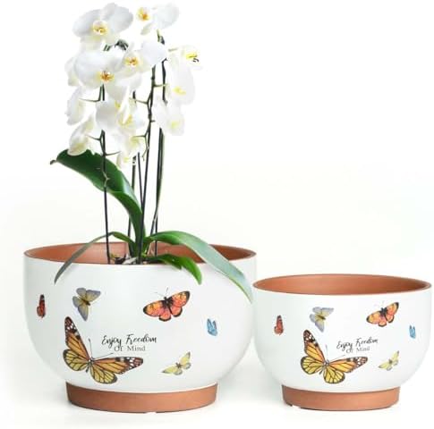 Glazed Terracotta Pot Sets & Saucers Set - Image 2