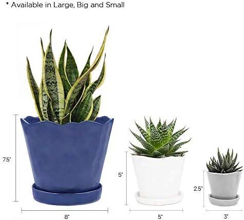 CHIVE ‘Tika’ Big Succulent Pot — 5” Cute Planter Pots for Indoor Plants — Beautiful Modern Decor for Home & Kitchen — Grey - Image 6
