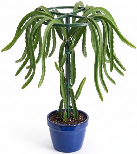 61" Adjustable Dragon Fruit Trellis, Round Ring, Green by Unknown