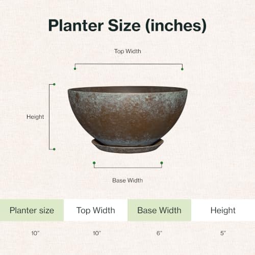 10" Rosie Bowl with Saucer in Weathered Copper - Image 6