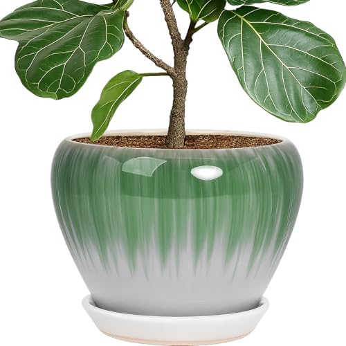 Deep Dream 10 Inch Plant Pot- Ceramic Planter Pot Round Plant Pots for Indoor Plants Outdoor Large Flower Pot with Drainage Holes & Trays, White&Green by DeepDream
