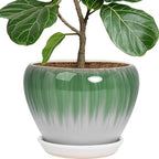 Deep Dream 10 Inch Plant Pot- Ceramic Planter Pot Round Plant Pots for Indoor Plants Outdoor Large Flower Pot with Drainage Holes & Trays, White&Green by DeepDream