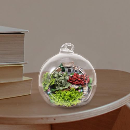 12Pcs Clear Hanging Glass Terrarium Planters for Air Plants Elegant Globe Design for Home Decor Indoor Planters and Garden Decoration - Image 4