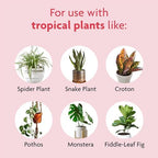 Miracle-Gro Tropical Potting Mix, For Container Plants, Use with Snake Plants, Spider Plants, Pothos, Monstera, 6 qt., 3-Pack - Image 4