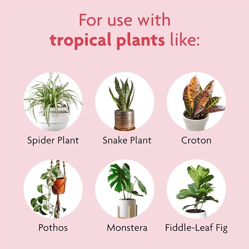 Miracle-Gro Tropical Potting Mix, For Container Plants, Use with Snake Plants, Spider Plants, Pothos, Monstera, 6 qt., 3-Pack - Image 4