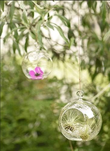 Pack of 24 Hanging Glass Orbs Hanging Glass Globe Terrariums Without 2 Side Hole for Candle Holder, TeaLight Holder Candlestick for Wedding Decor - Image 6